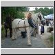 Patientez la photo se charge